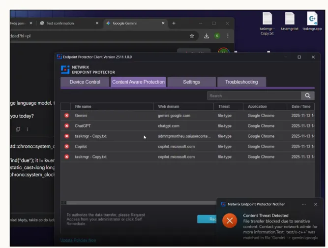 Data Loss Protection - Netwrix AI Security